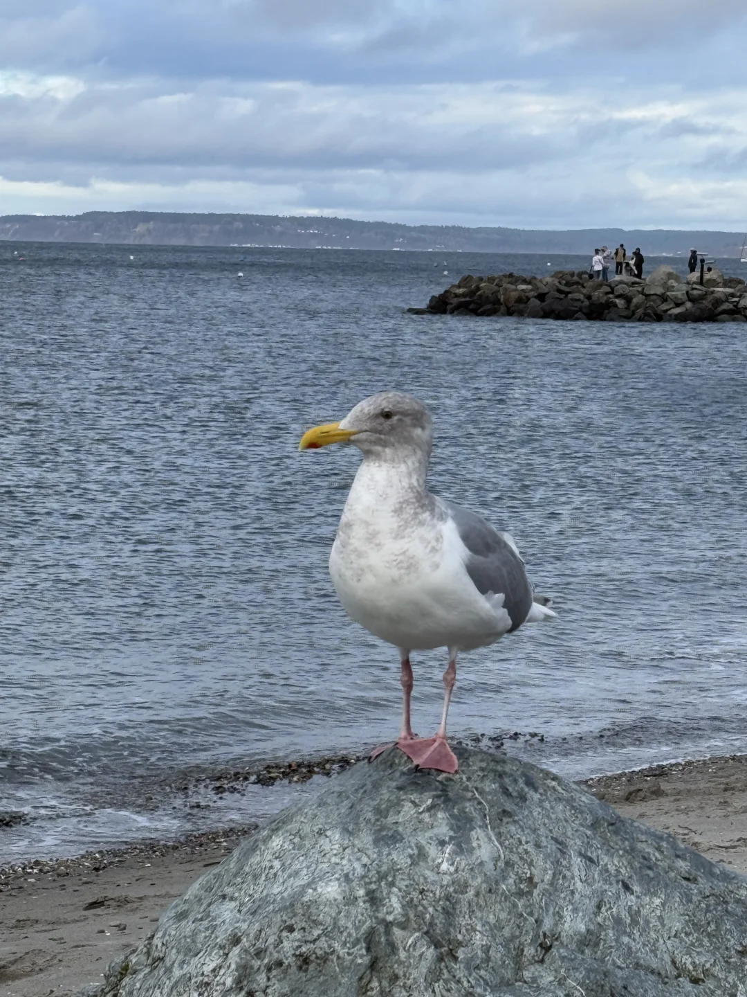 "Half-Day Trip to Edmond, Just Outside Seattle"