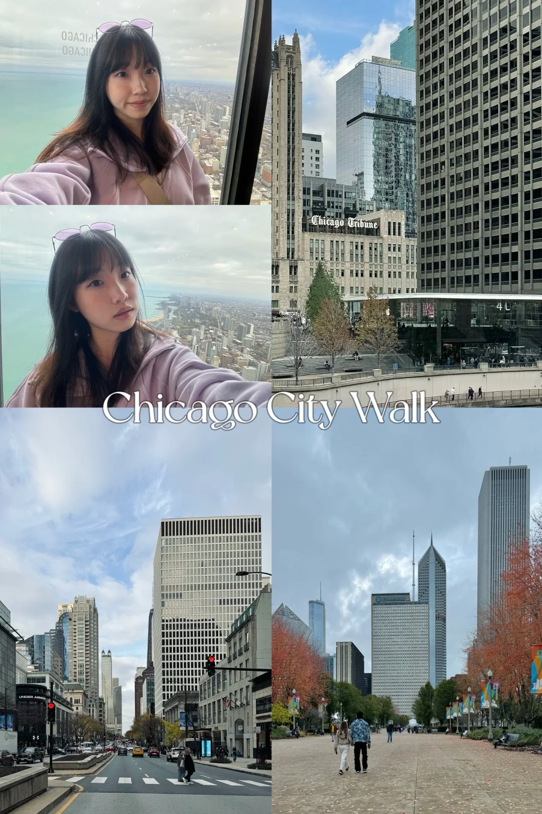 🇺🇸 Chicago Winter Day Trip Guide