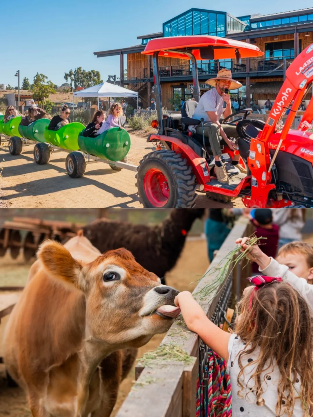 Best Kid-Friendly Farms Near San Diego for Family Outings