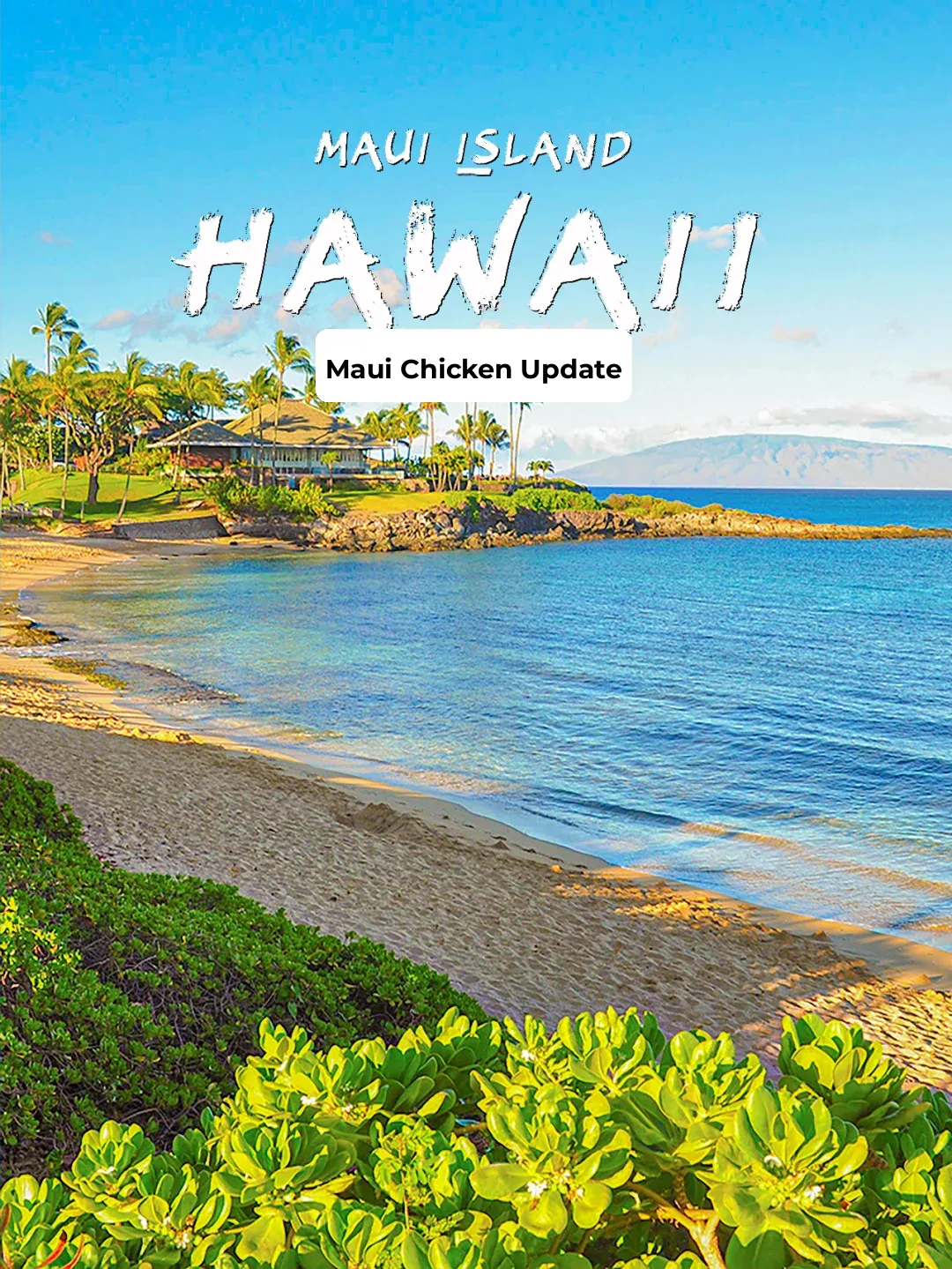 Complete Travel Guide to Maui, Hawaii | Step into a Heavenly Paradise on Earth