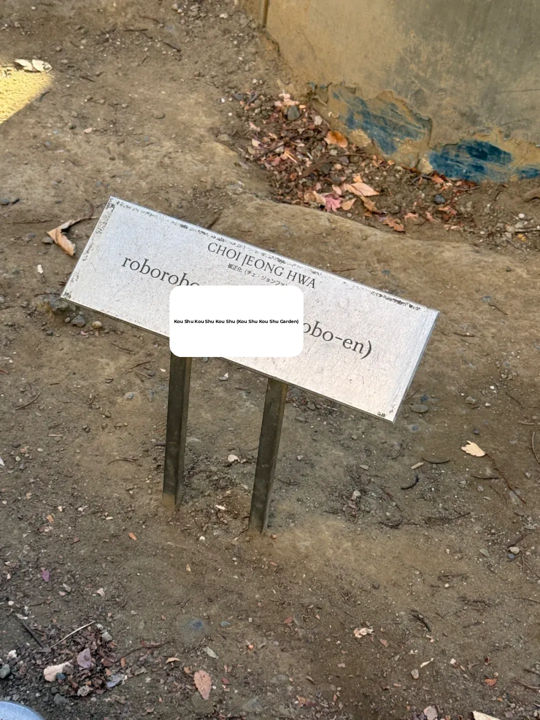 Tokyo's Hidden Gem for Family Fun! The Epic Rainbow Slide 🌈