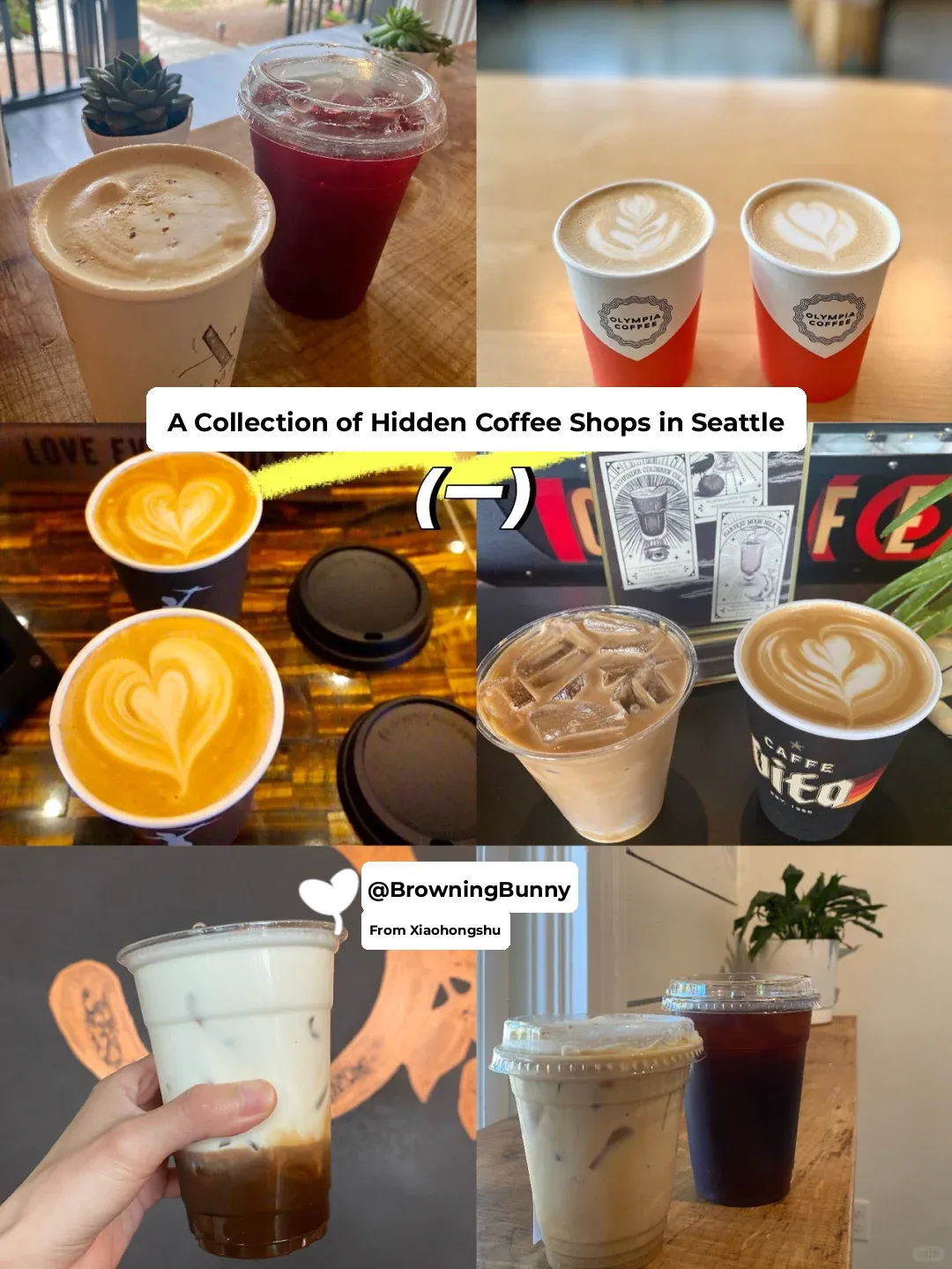 Sharing Hidden Gem Coffee Shops in Every Corner of Seattle ☕️