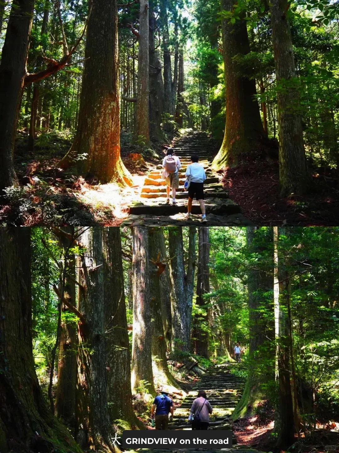 Even Hiking Newbies Can Conquer the Kumano Kodo! Maple Season Pilgrimage Guide