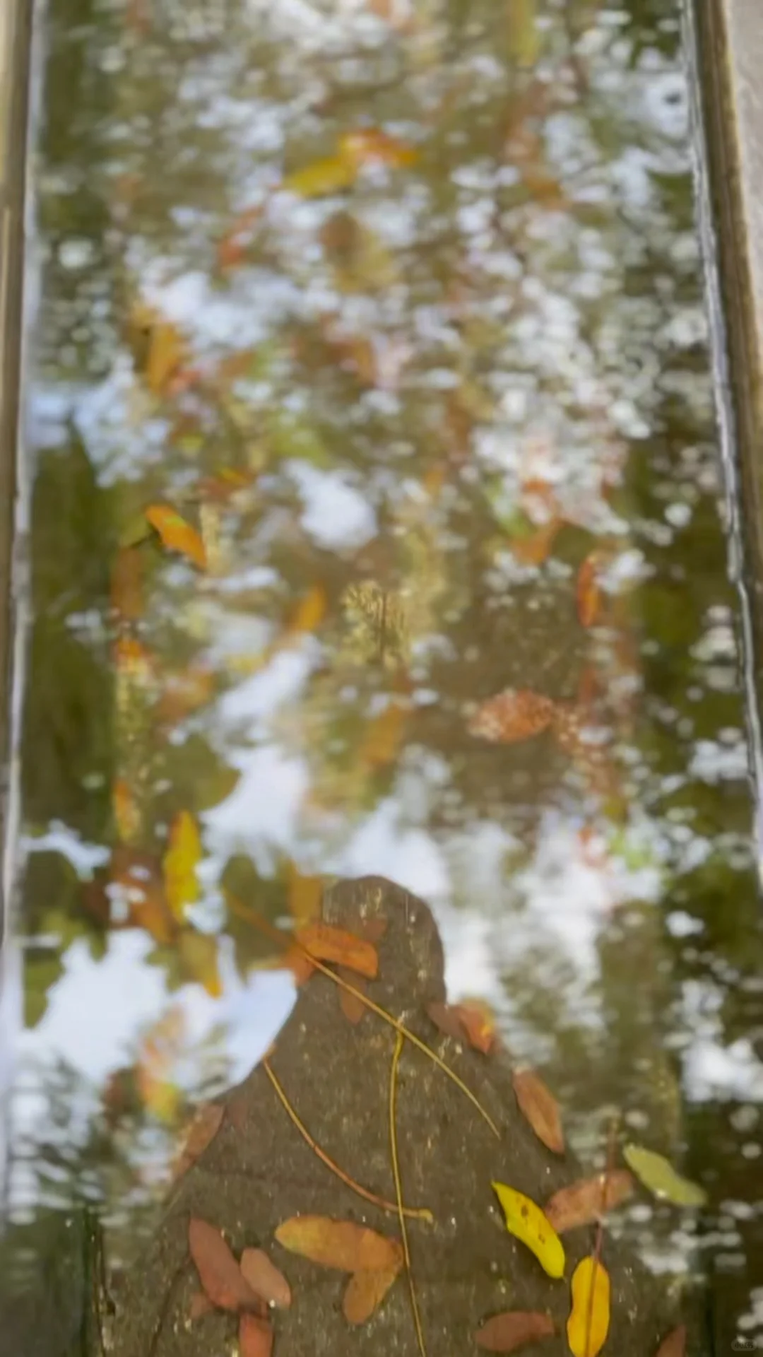 Saturday in Miami, Florida