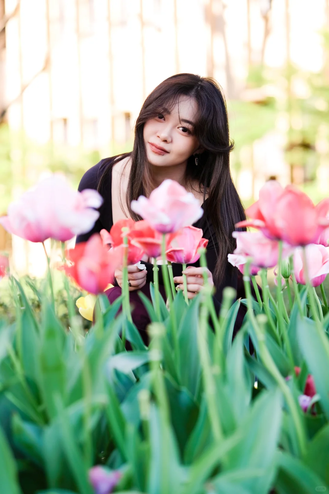 Atlanta Photo Diary｜Springtime Serenity Beneath the Office Towers🌷Tulips