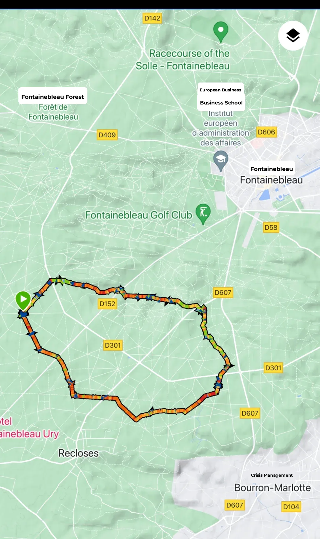 Autumn 🍁 Hike in Paris' Fontainebleau Forest | Mushroom Picking 🍄 Adventure