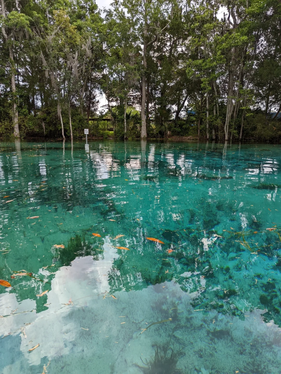 Hidden Gem in North America: Florida's Most Breathtaking Transparent Kayak Adventure in a Paradise on Earth