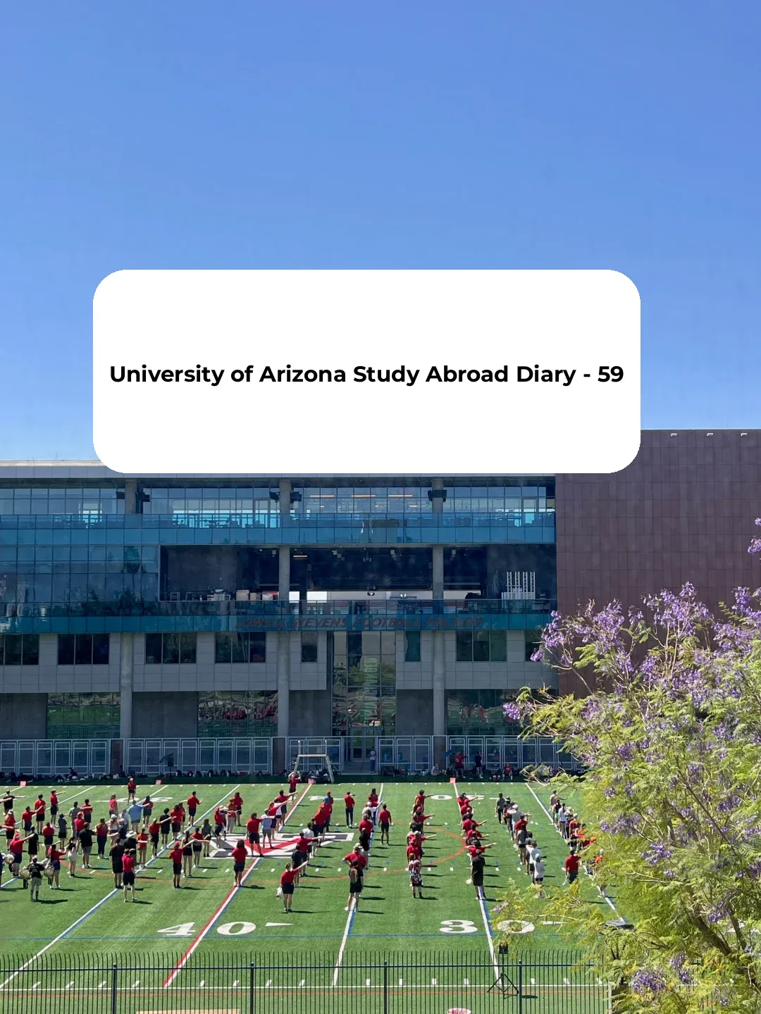 Arizona University Study Visit Diary - Day 59
