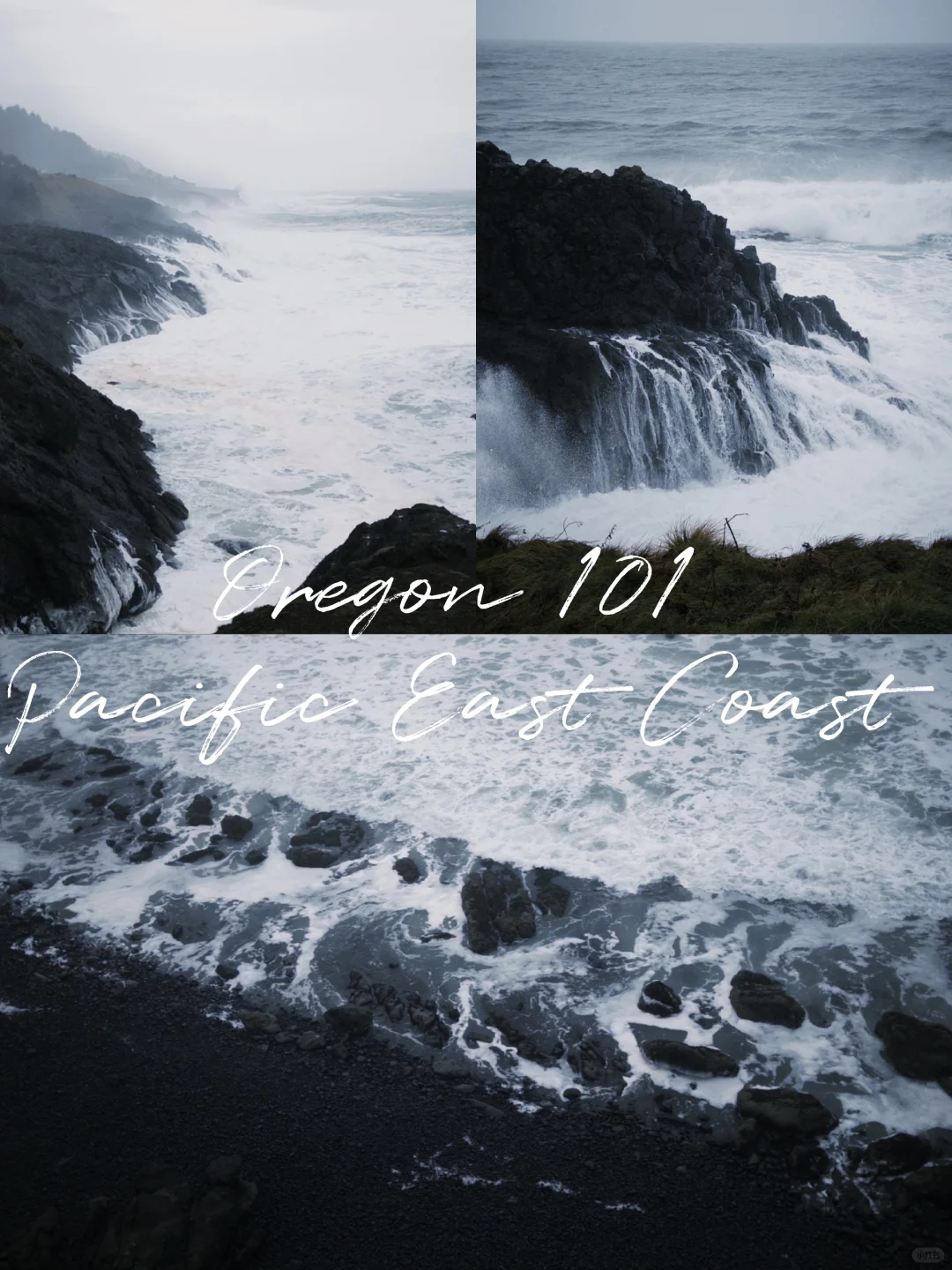 Solo Road Trip | From San Francisco to Portland Part 3