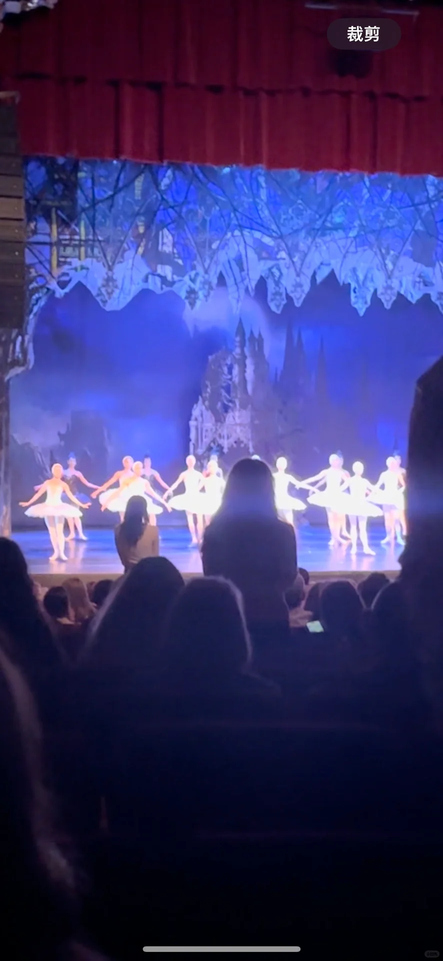 Watching Swan Lake Performance in Detroit