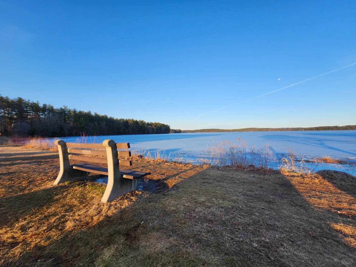 The Photography God of the Boston Area