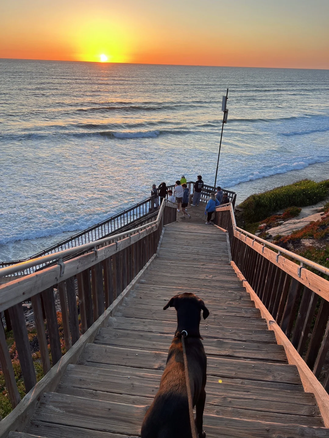 Weekend Camping at Carlsbad Coast ⛺️🌊 Chapter 5
