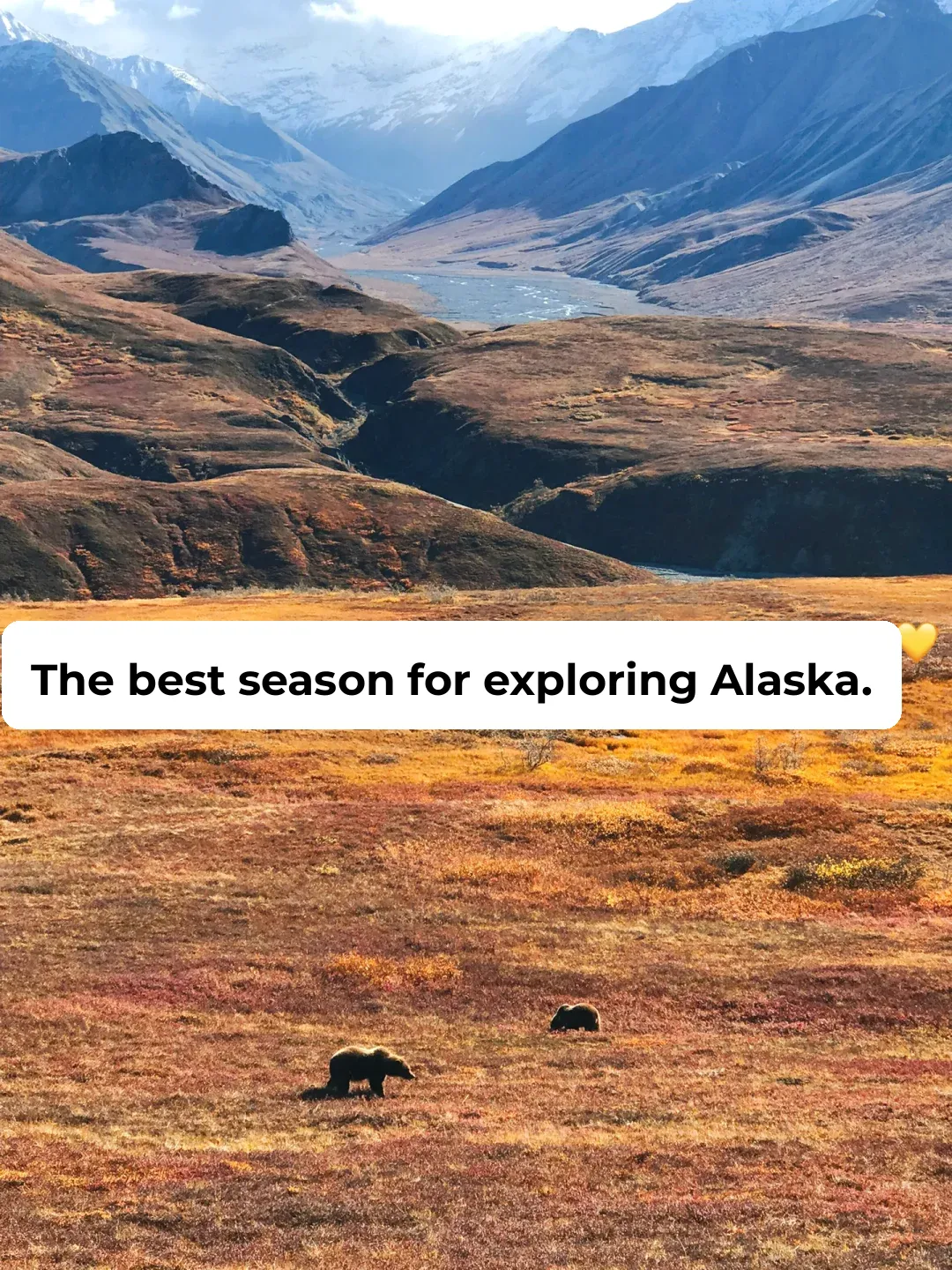 The Best Time to Visit Alaska (Part 1) | Fairbanks & Denali