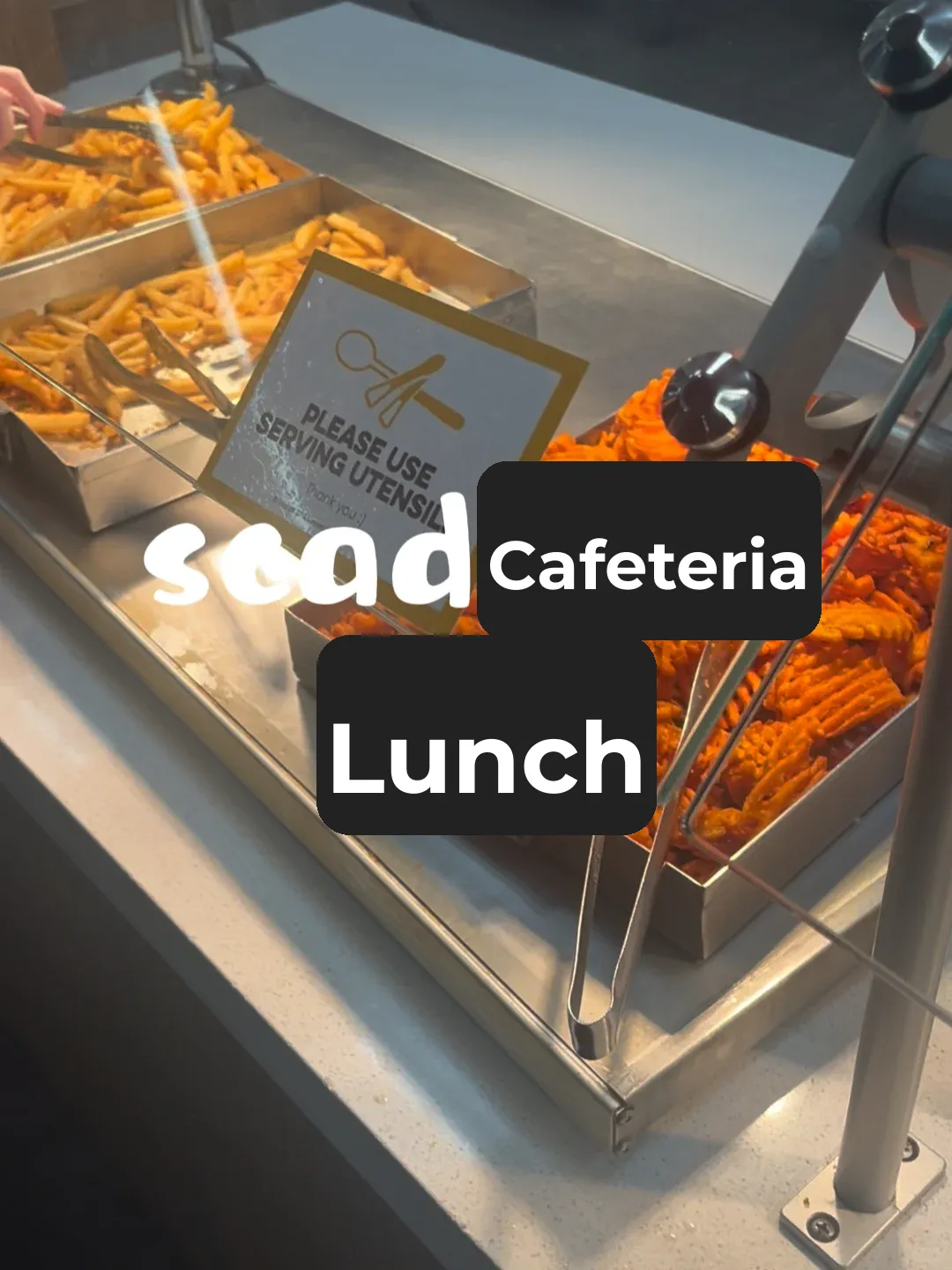 What Are the Dining Halls Like on American University Campuses?