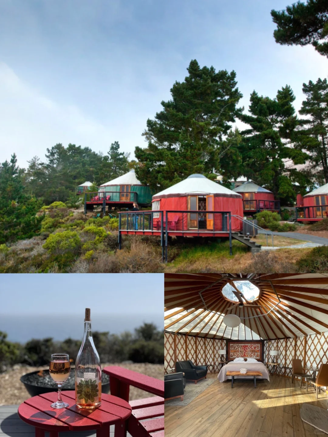 Bay Area Camping Spots Roundup ⛺️ Escape the City Getaway Guide 🈶️