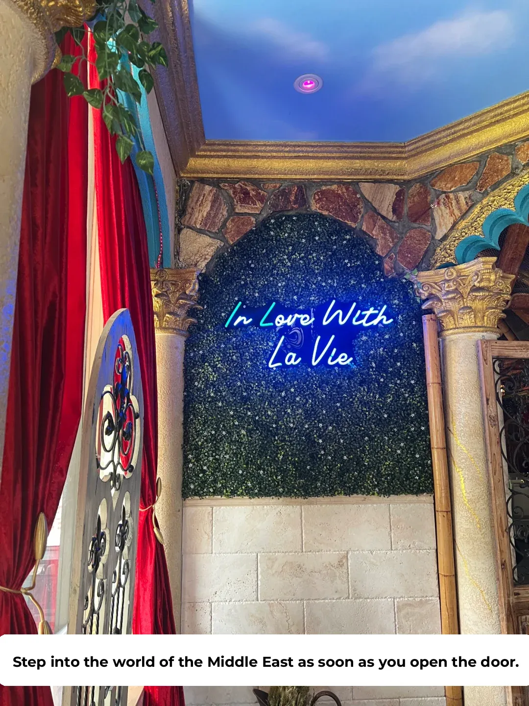 Looking for Middle Eastern Cuisine in Florida? La Vie is a Must-Try!