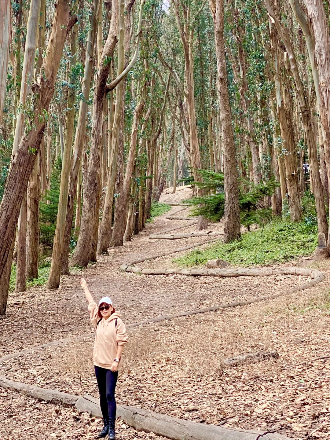 San Francisco / Fewer Crowds, More Beauty 🌳 Feels So Cozy Here 🍃