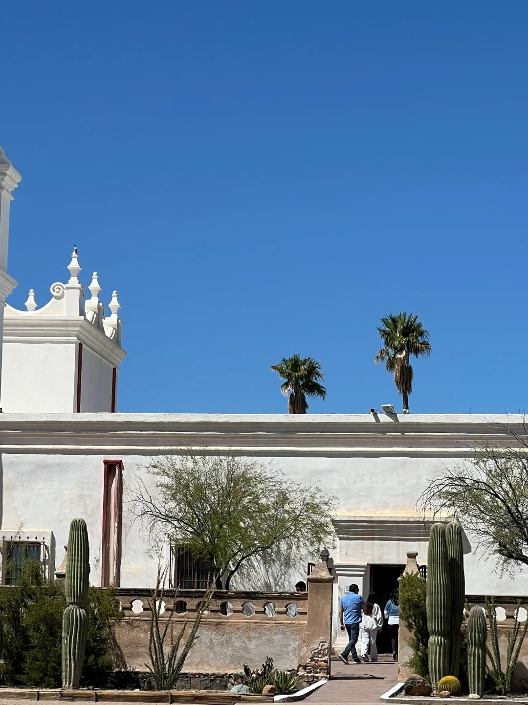 Tucson | Let’s Explore the Charm of Catholic Churches ✝️⛪️