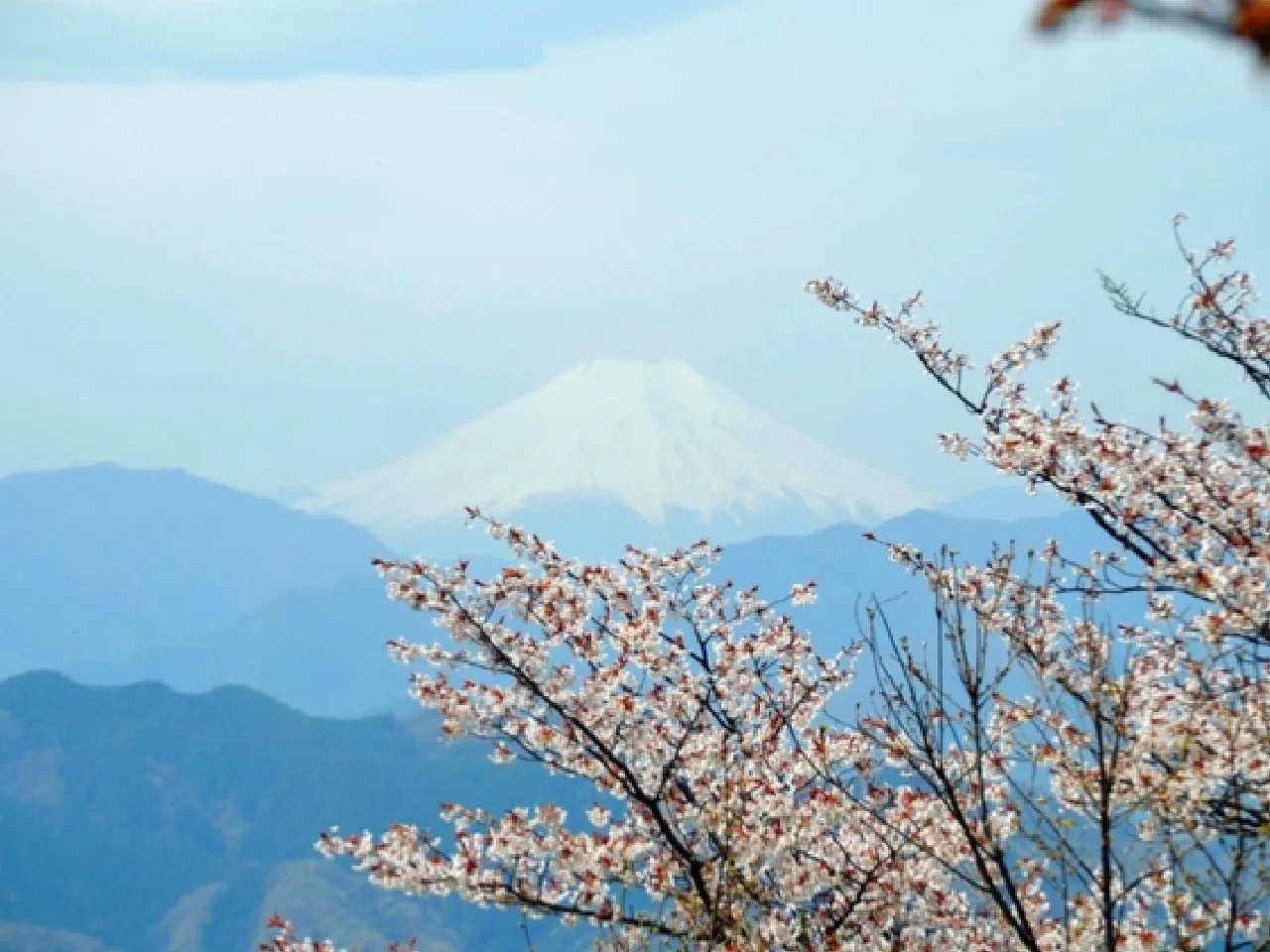 Autumn vibes! Time to hit the trails!
