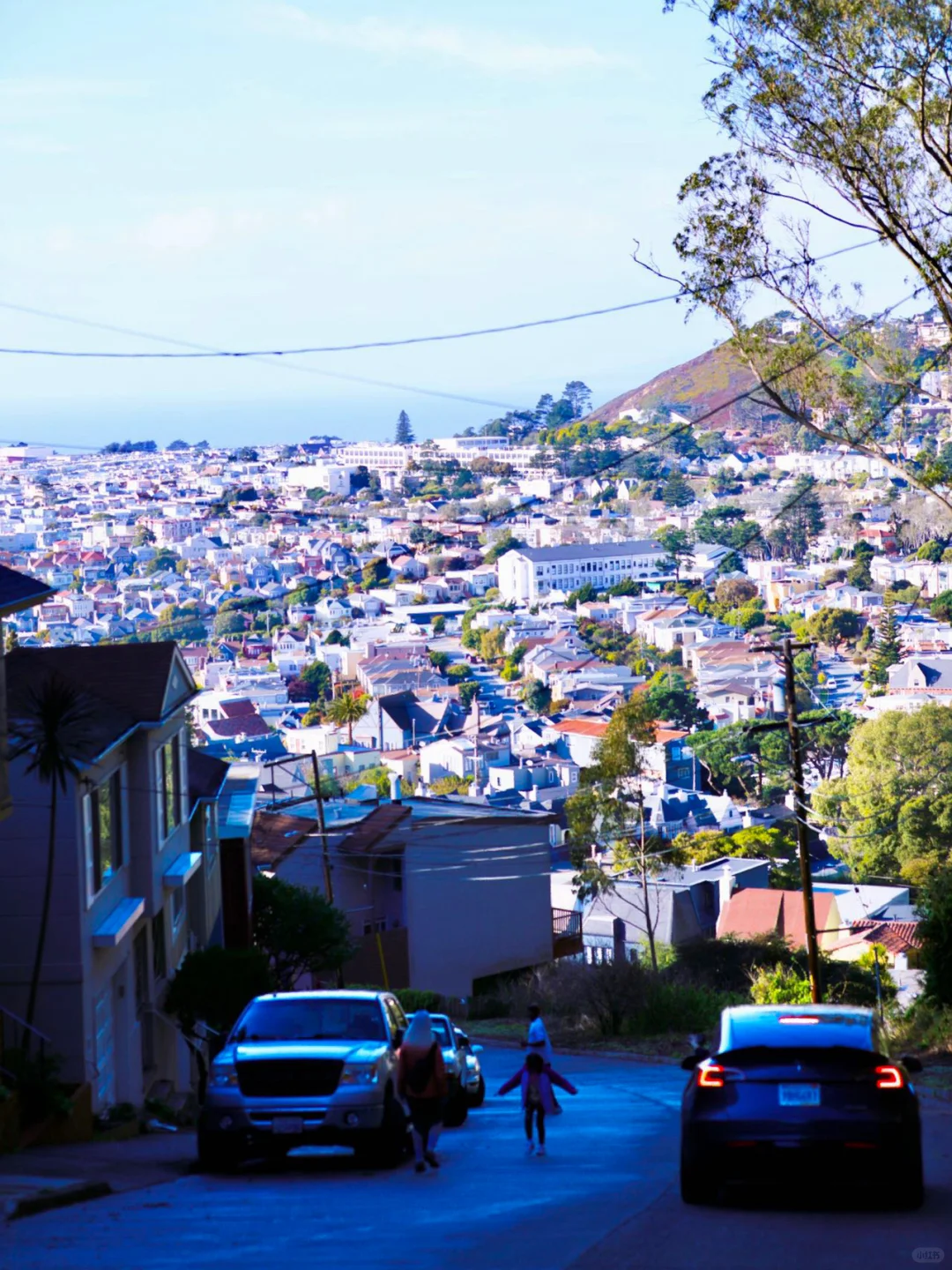 San Francisco Urban Hiking: Mt. Davidson Adventure