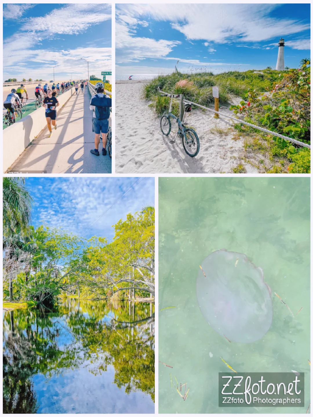 Hidden Gems of Miami: Off-the-Beaten-Path Spots