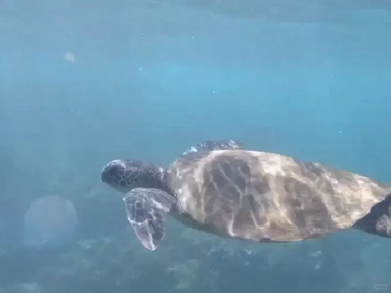 Hawaii Trip September – Day 3: Maui