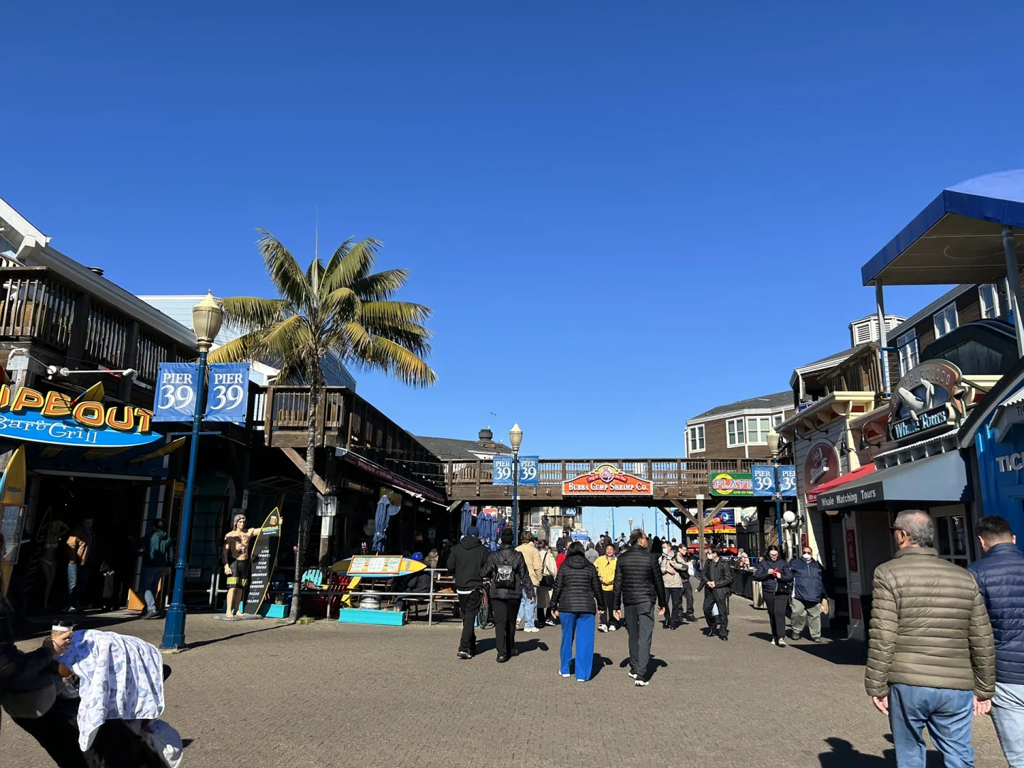 A Day Trip to San Francisco: Foodie Adventures and Scenic Delights