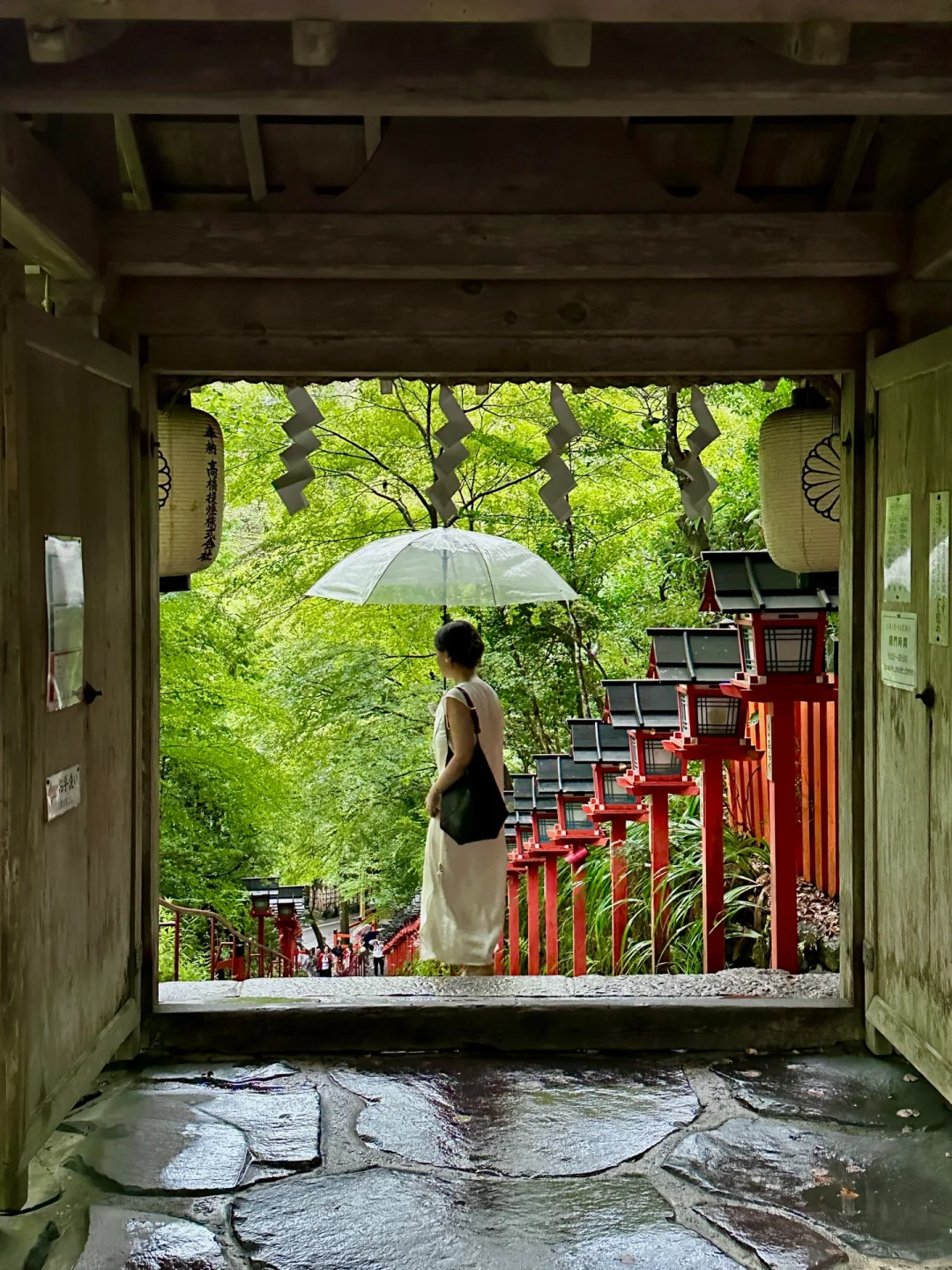 Live Stream｜Moments in Kyoto That Keep Making Me Fall in Love Again 🎋