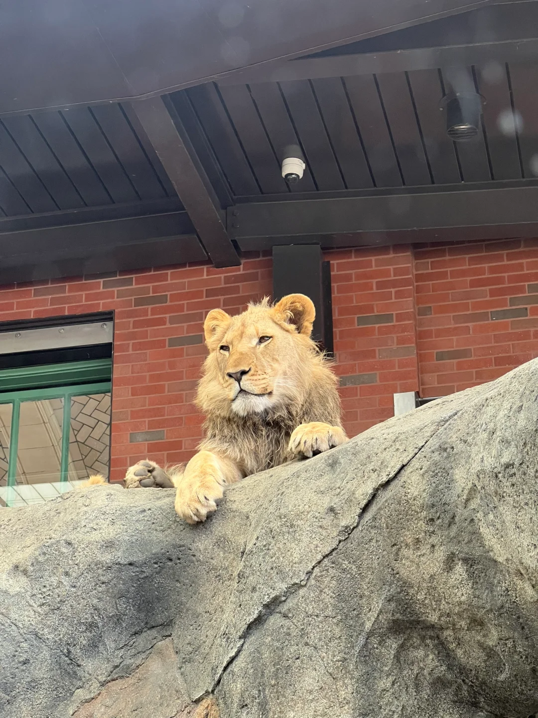 Free Weekend Getaways in Chicago