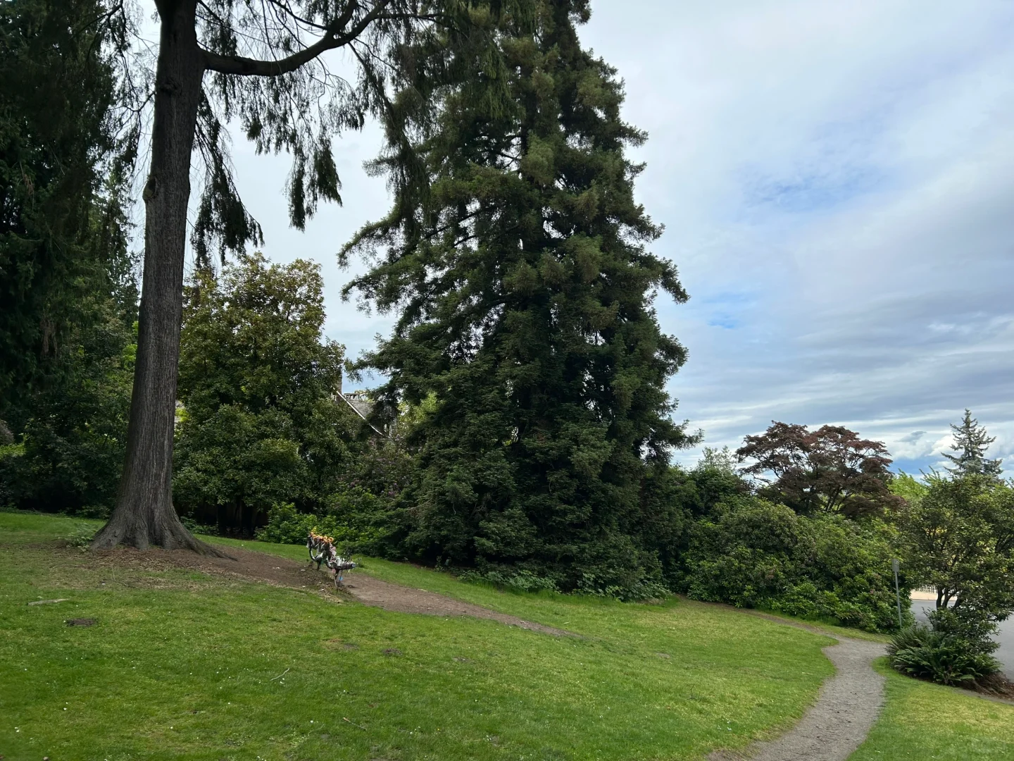 The Rock 'n' Roll History of Seattle