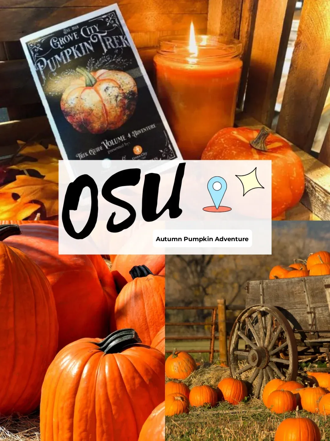 🍂 OSU｜Autumn Pumpkin Adventure🎃