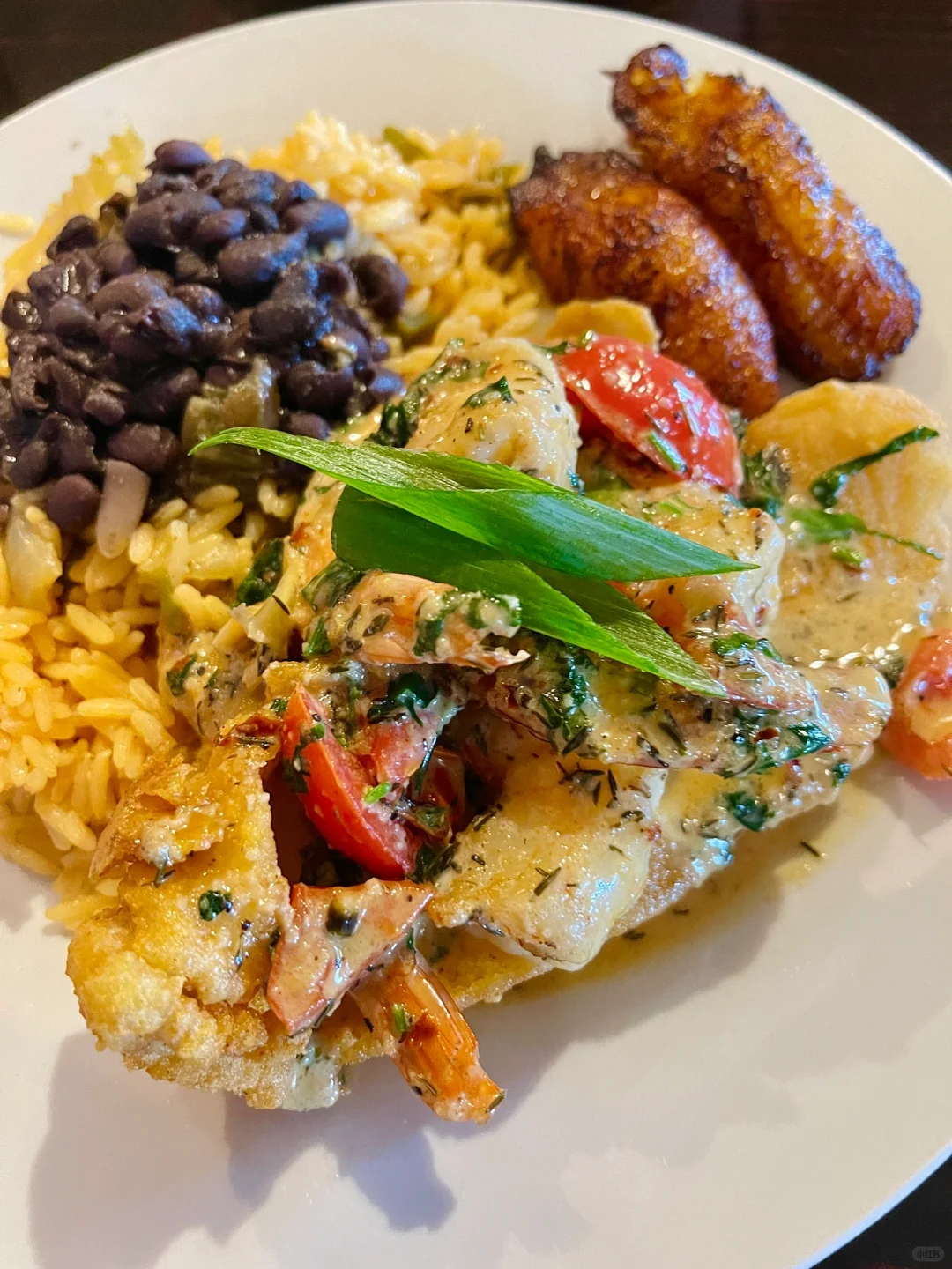 Boating and Food Adventures on Rainbow River near Orlando/Tampa 🚣🍴