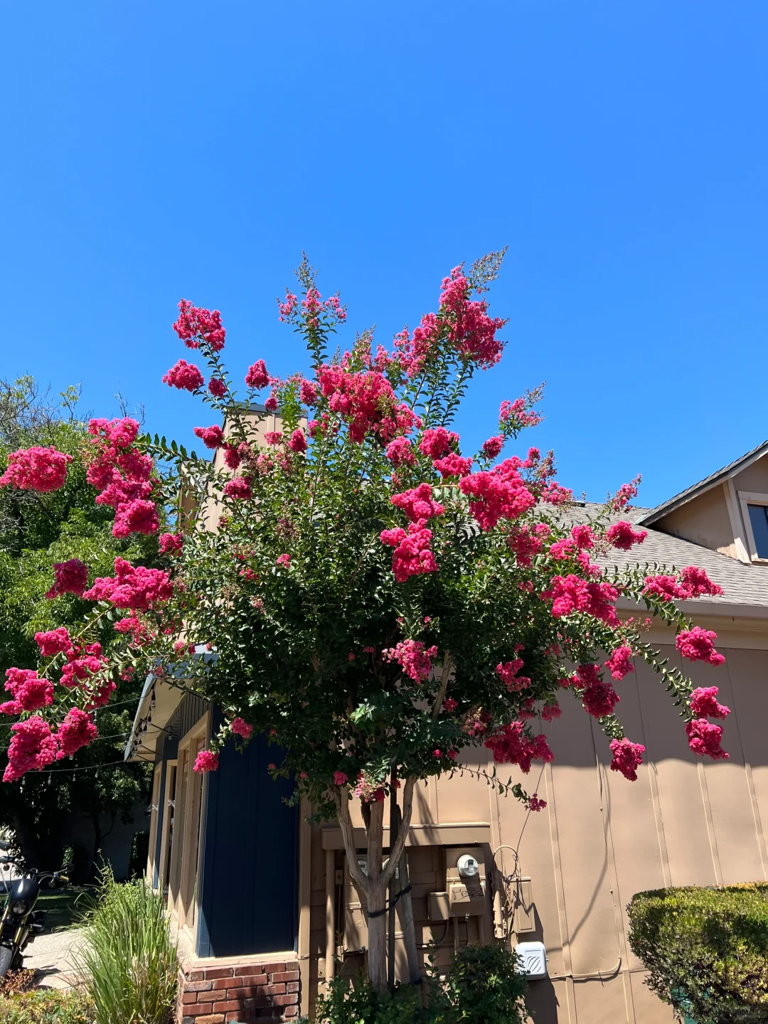 **Placerville - A Charming Little Town Perfect for Exploring**