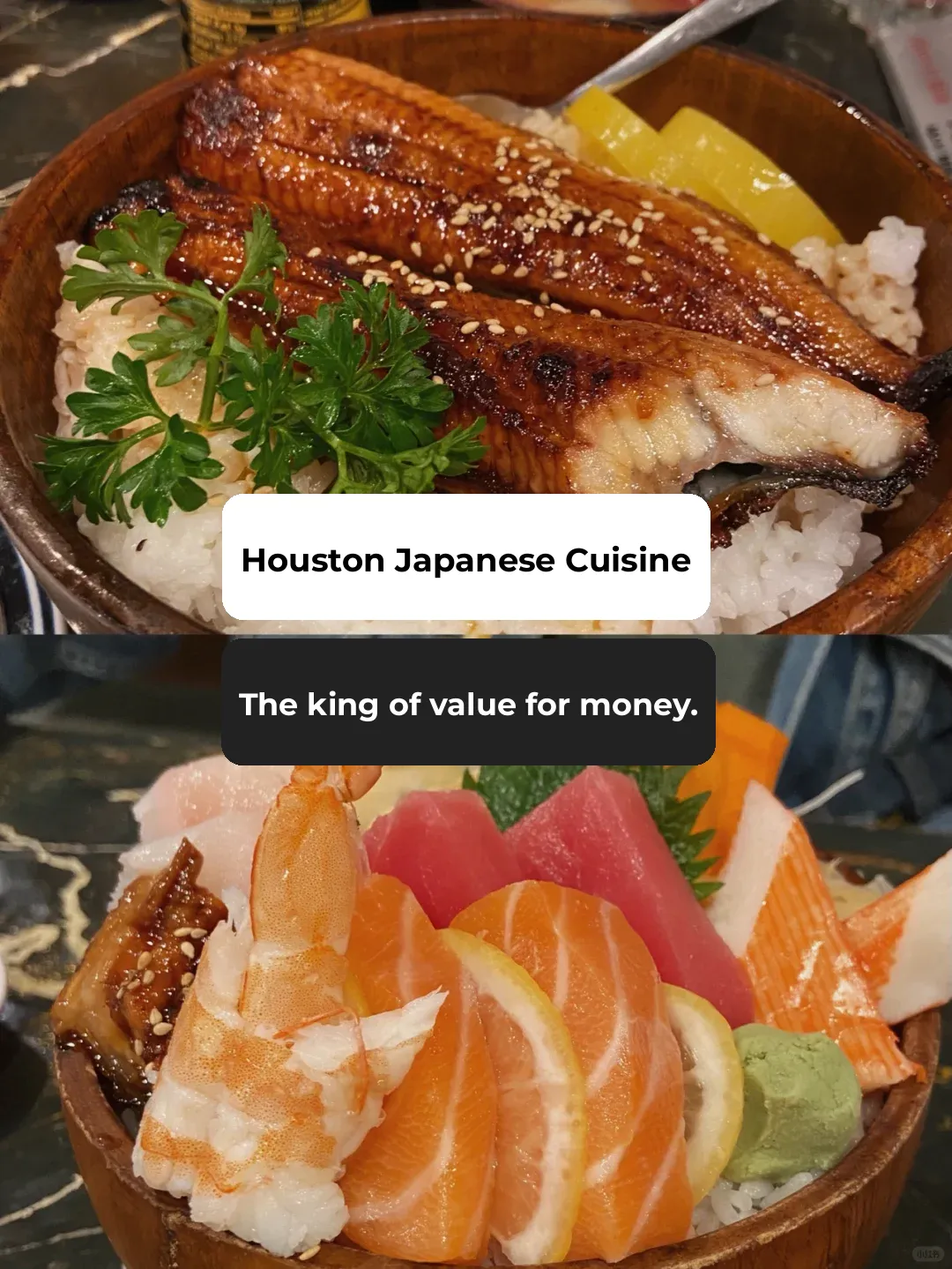 Houston Foodie Guide | The Ultimate Hidden Gem for Affordable and Heavenly Japanese Cuisine 🤩