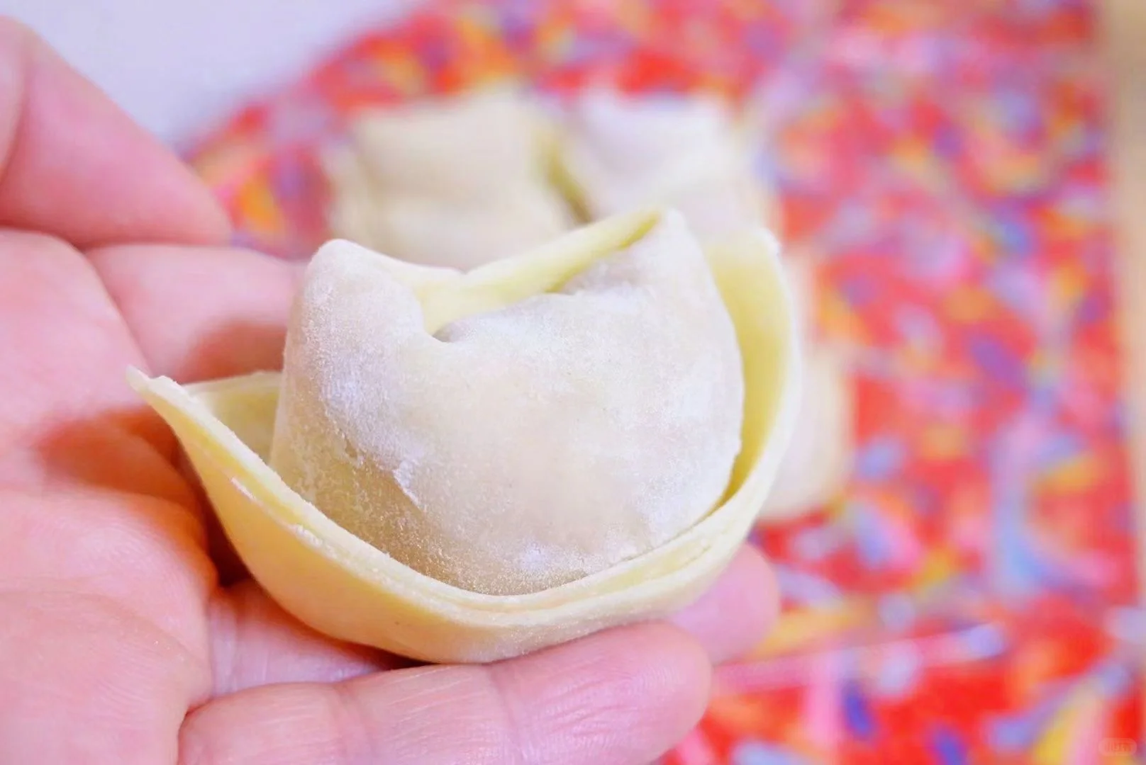 Opening in Kyoto: Handmade Dumplings