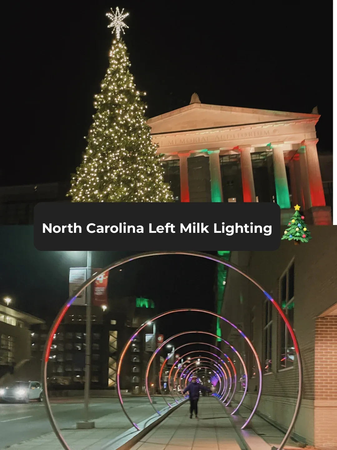 Christmas Lights in Downtown Raleigh, North Carolina