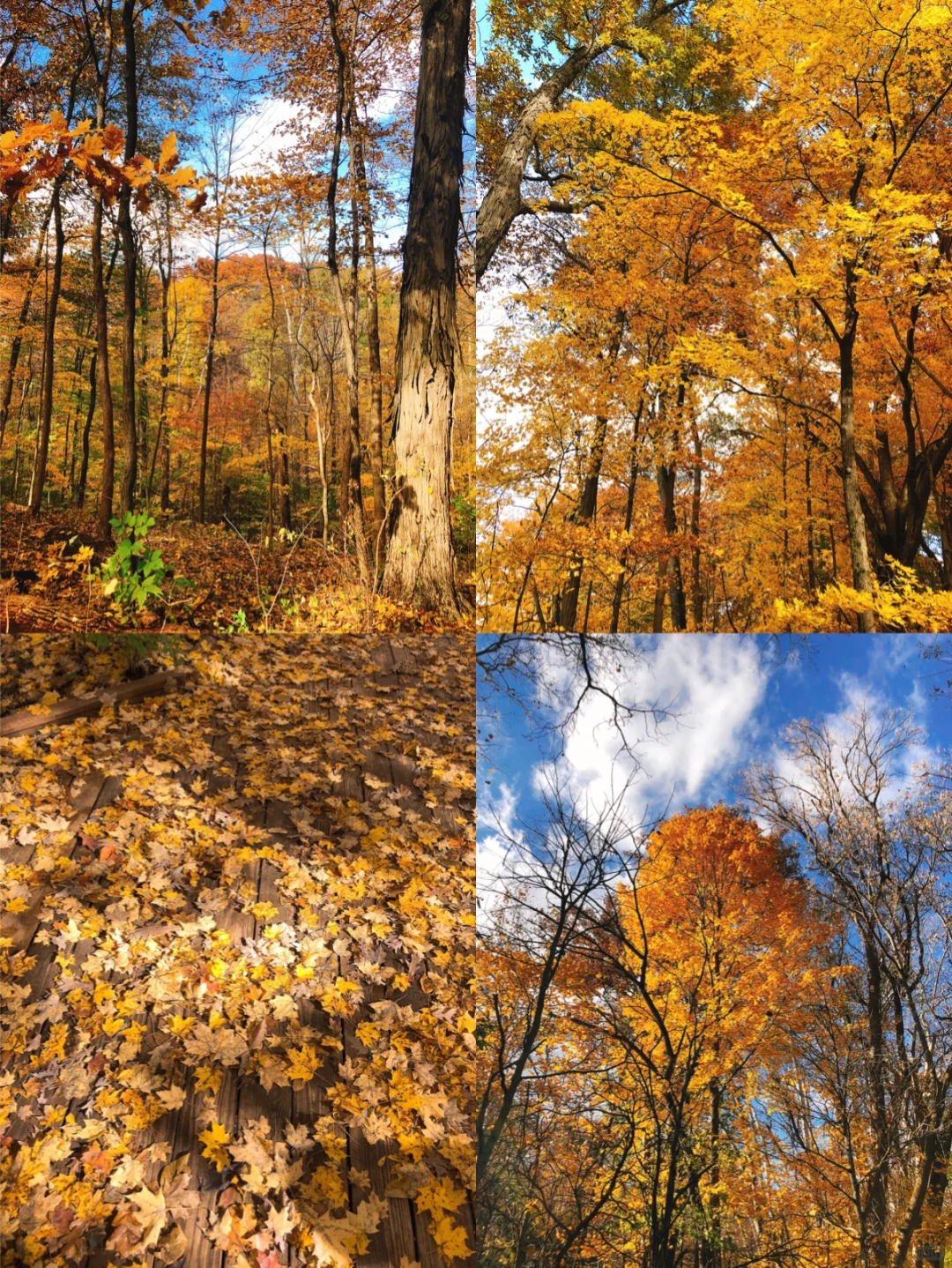 Ohio State University | Recommended Natural Parks in Columbus (Part 1)