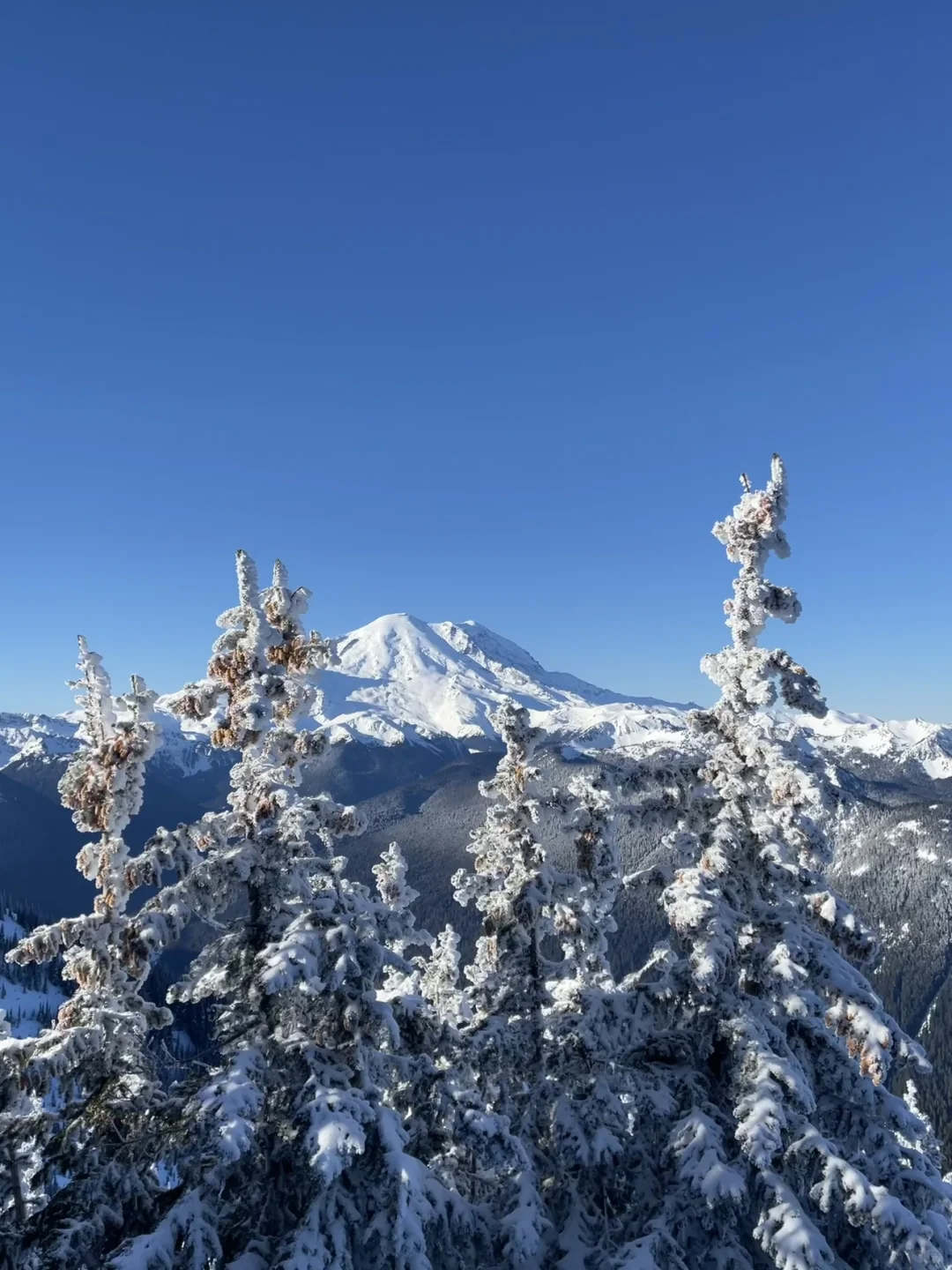 Seattle Guy's Dating Chronicles #9: My Restaurant Rolodex