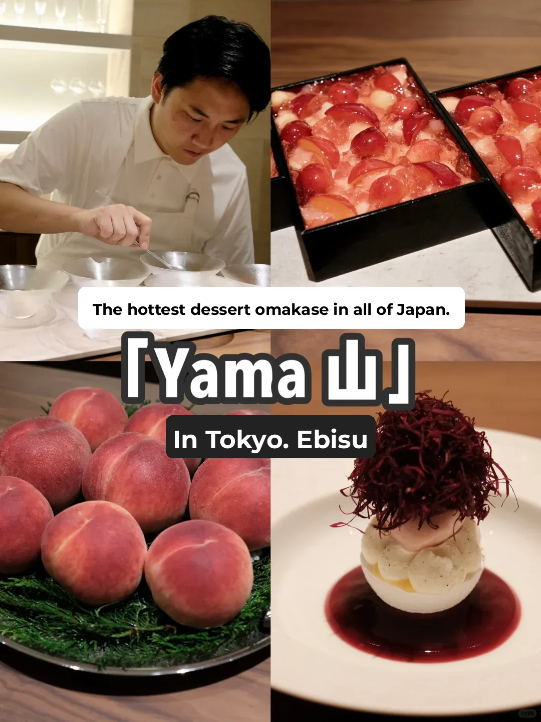 Ebisu | Japan's Hottest Fruit Dessert Omakase