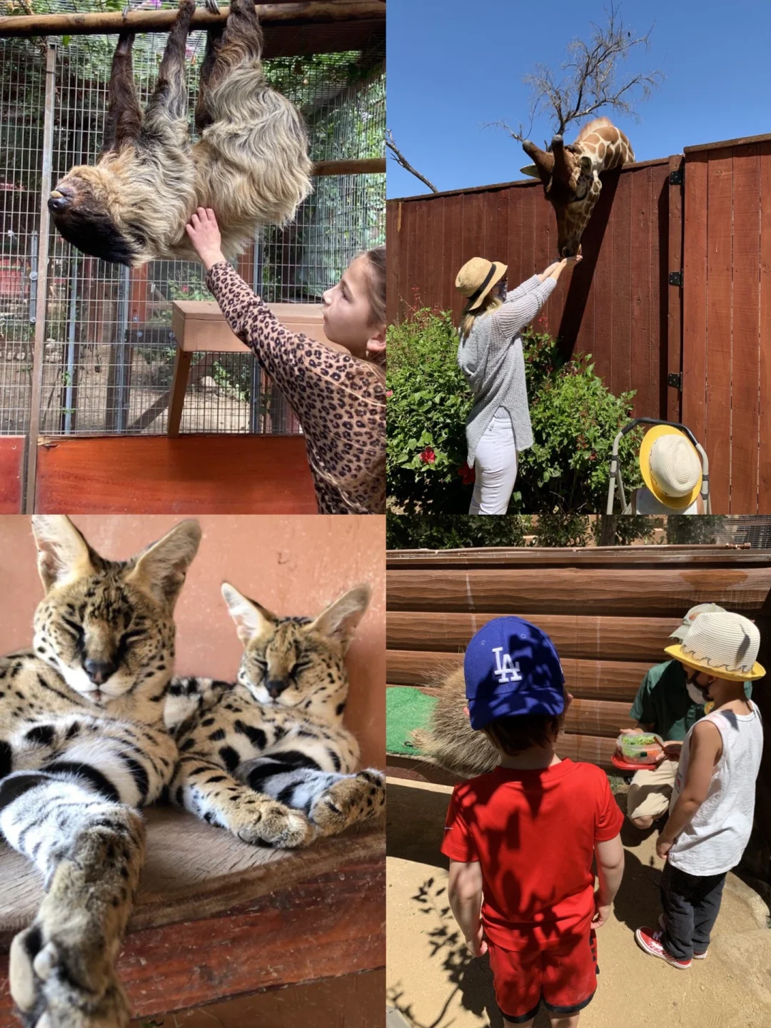 Top 5 Must-Visit Farms in Los Angeles for Family Fun 🚗🥹