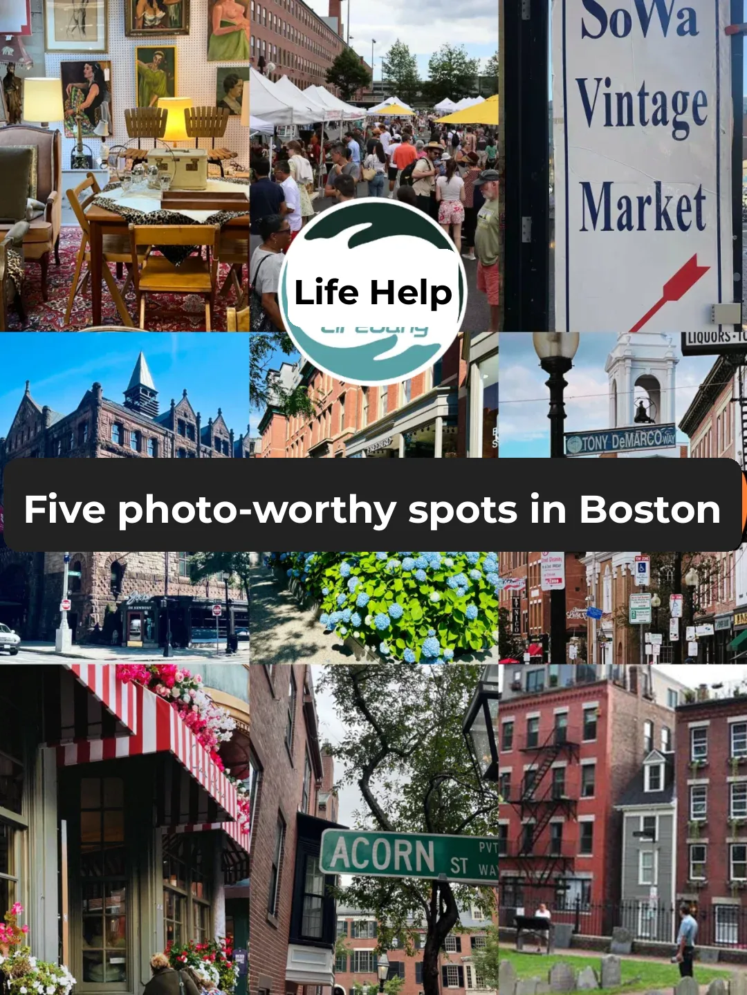 5 Picture-Perfect Spots in Boston to Light Up Your Social Media Feed