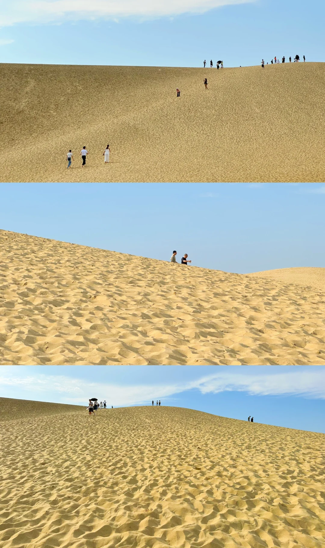 Day Trip to Tottori from Osaka 📍 Half Sand Dunes, Half Ocean!