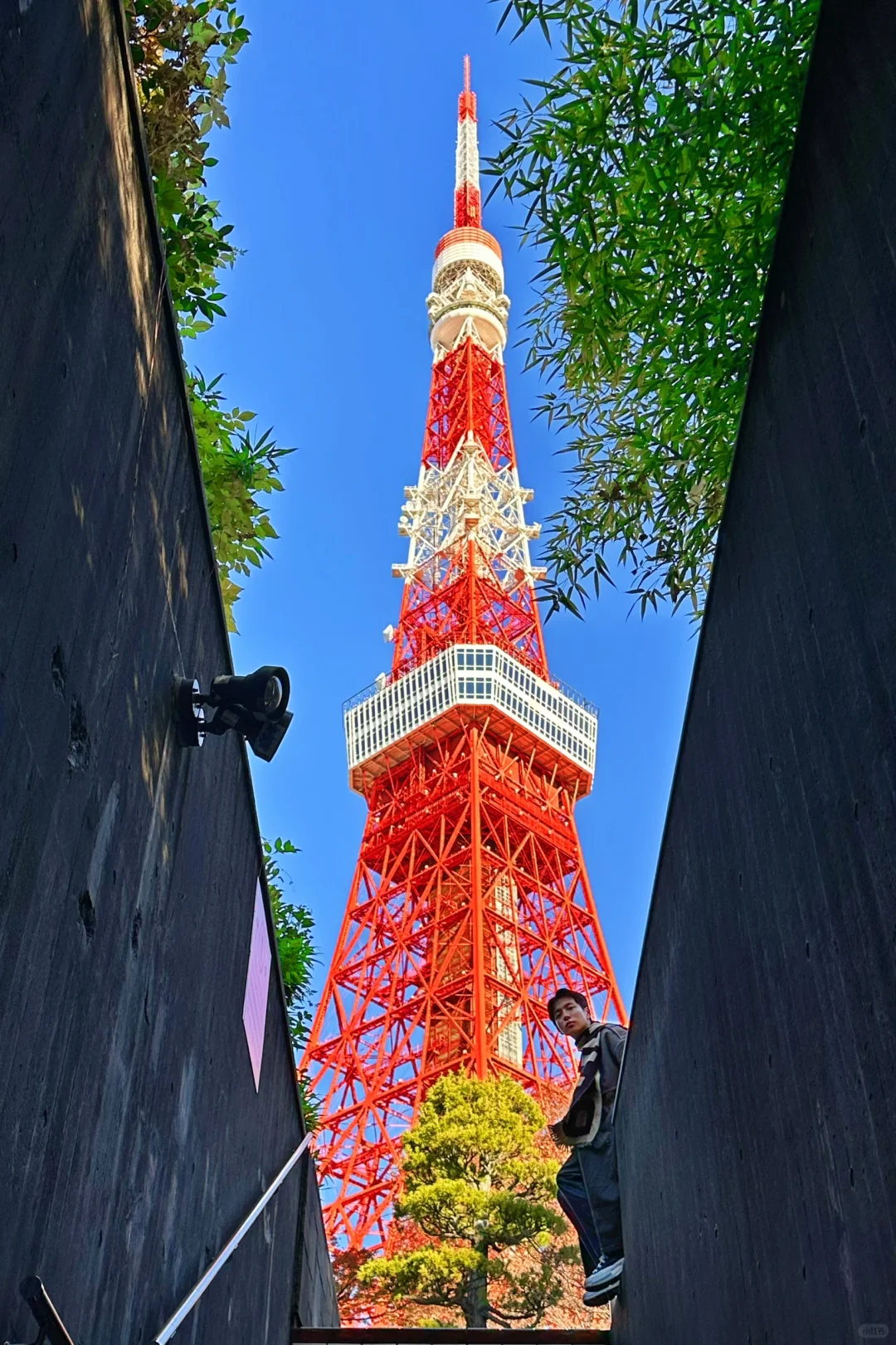 Tokyo Tower🗼: I Flew to Tokyo Just for These 9 Epic Photo Spots