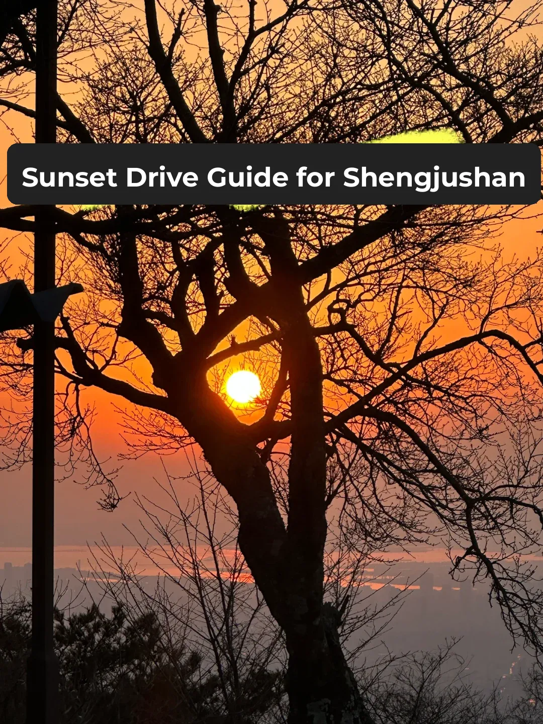 Ikoma Mountain Sunset Roller Coaster Guide! Don't Miss It! Avoid Getting Ripped Off!