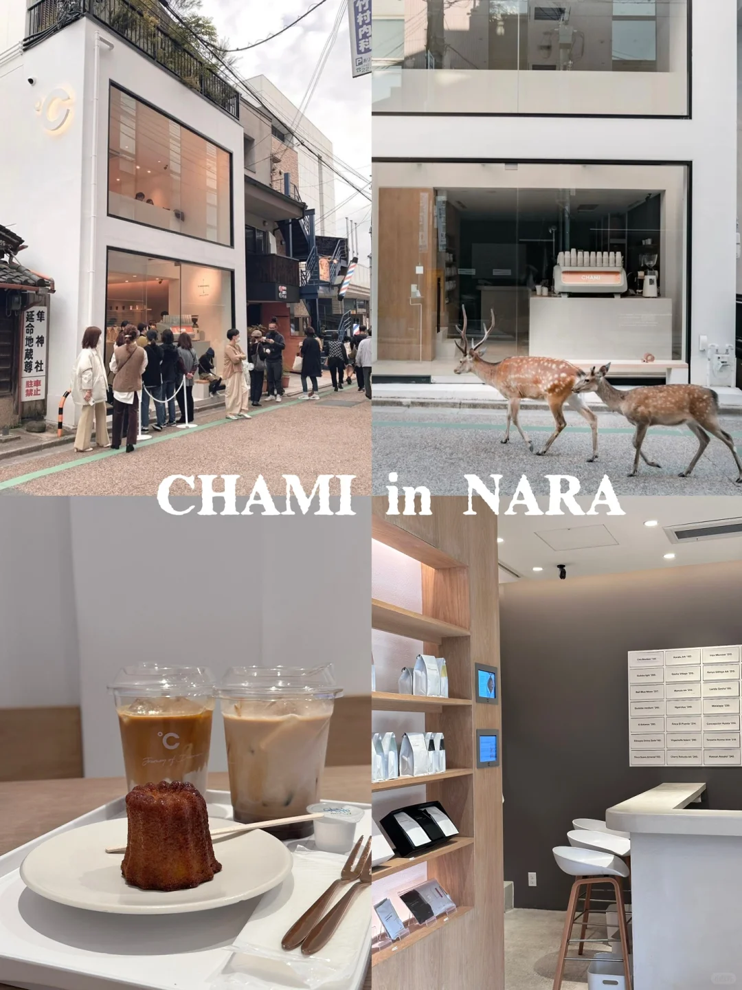 🇯🇵 In Nara! The Ultimate Café for a Chill Afternoon