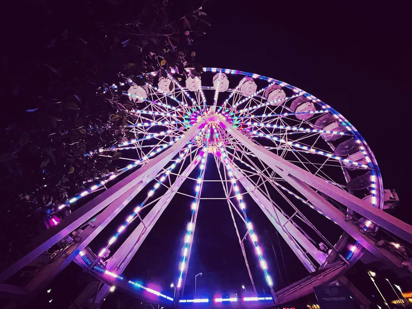 Stunning Long Beach Pier & Ferris Wheel