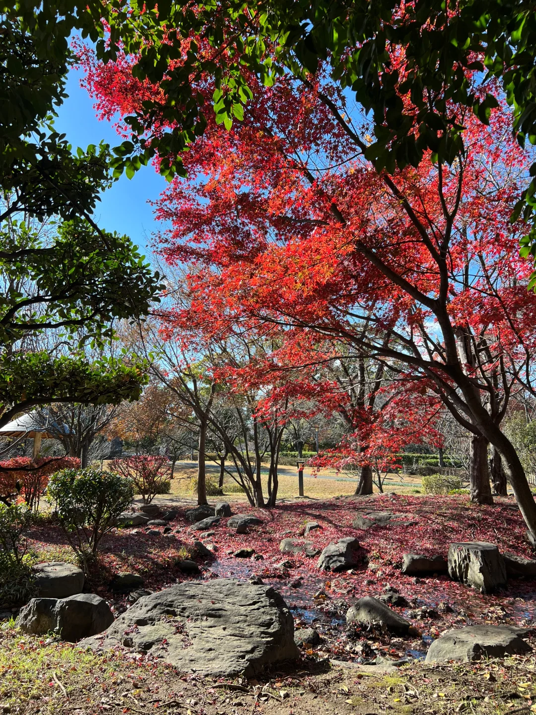 4 Days 3 Nights in Osaka