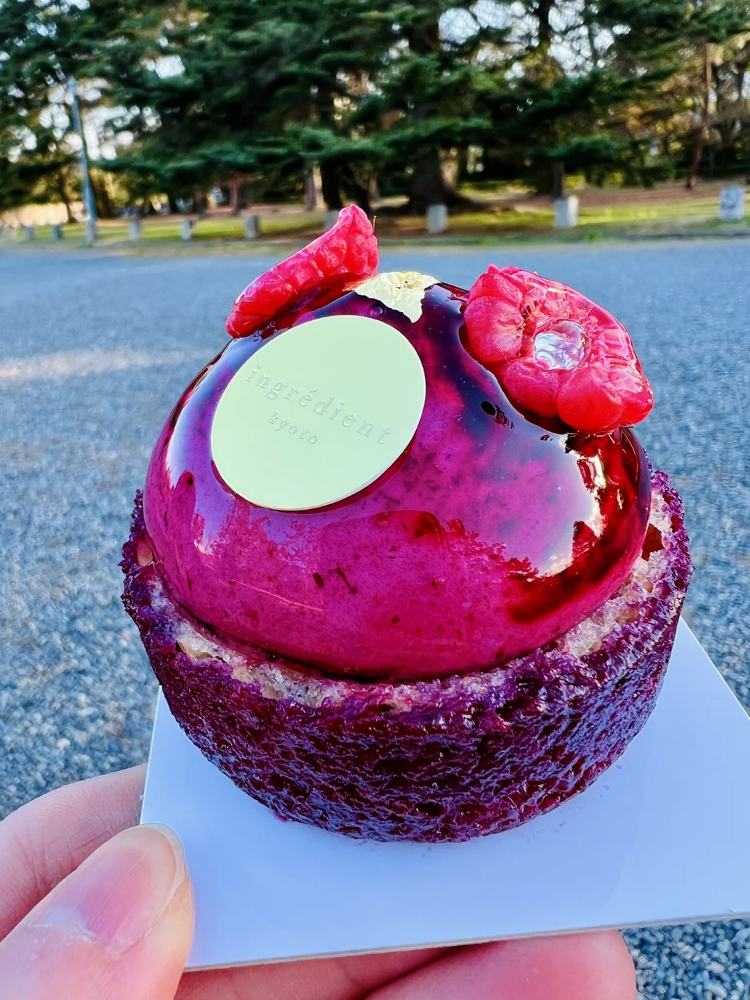 Surprise Delicacies Near Kyoto University Hospital