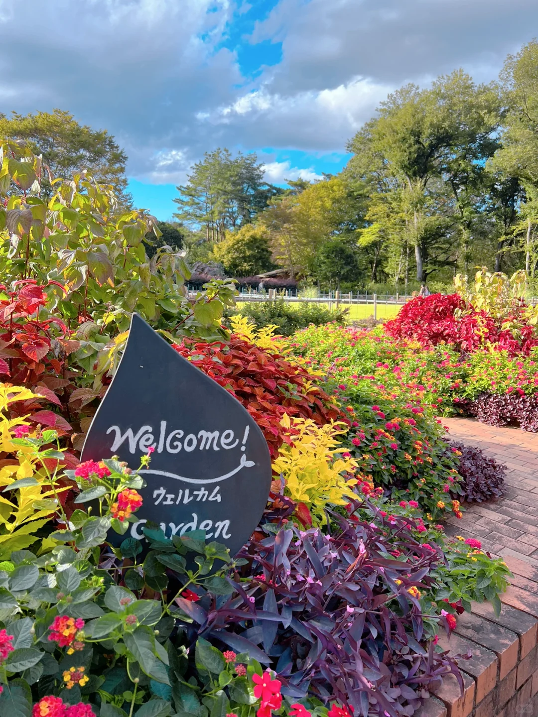 🇯🇵 Tokyo Day Trip | Stepping into Monet's Autumn Garden 🎨🍁✨