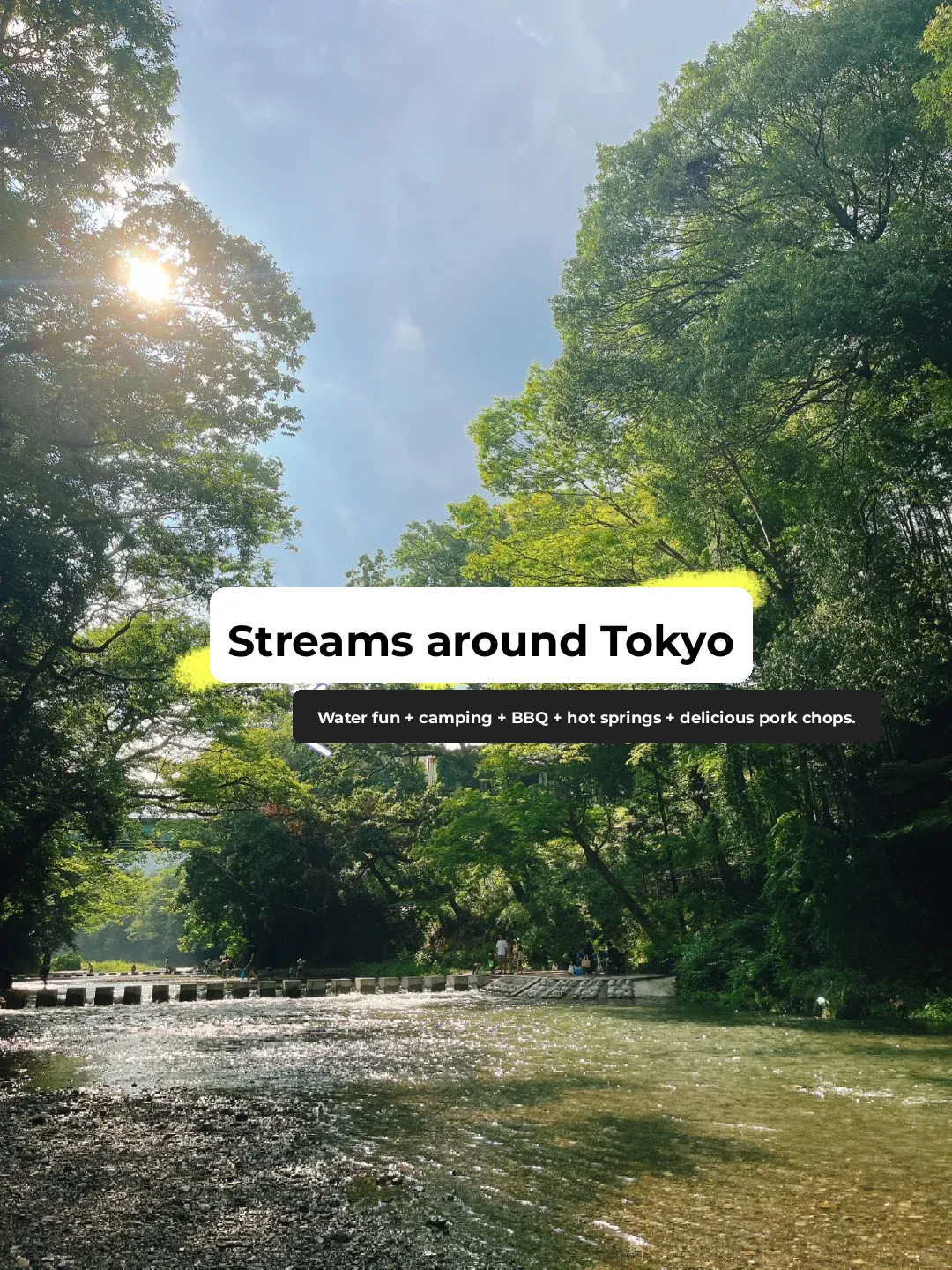 City Center 1.5-Hour Drive | Totally Free Spot for Kid-Friendly Stream Play